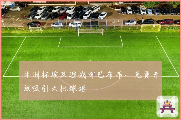 非洲杯埃及迎战津巴布韦，免费开放吸引大批球迷