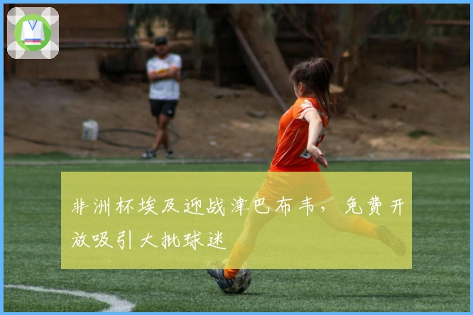 非洲杯埃及迎战津巴布韦，免费开放吸引大批球迷