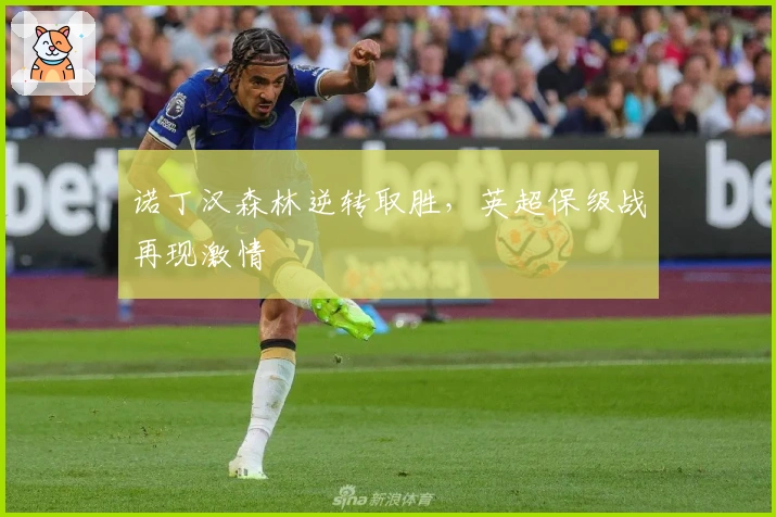 诺丁汉森林逆转取胜，英超保级战再现激情